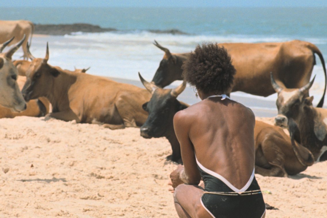 Eine Frau sitzt vor einer Kuhherde am Strand
