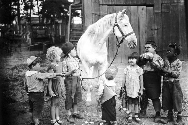 Kinder mit Pferd