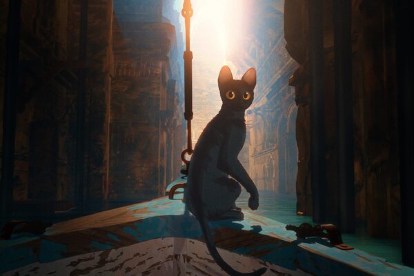 Katze